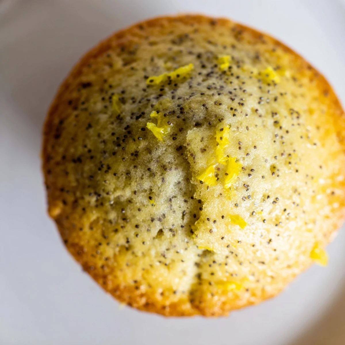 Golden lemon poppy seed muffins with domed tops fresh from the oven on a wire cooling rack